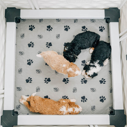 Three puppies lying on a patterned mat inside a pet playpen.