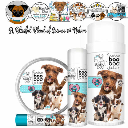 Dog care products with 'Bue Bue Boo Boo Butter' branding and images of dogs on packaging.