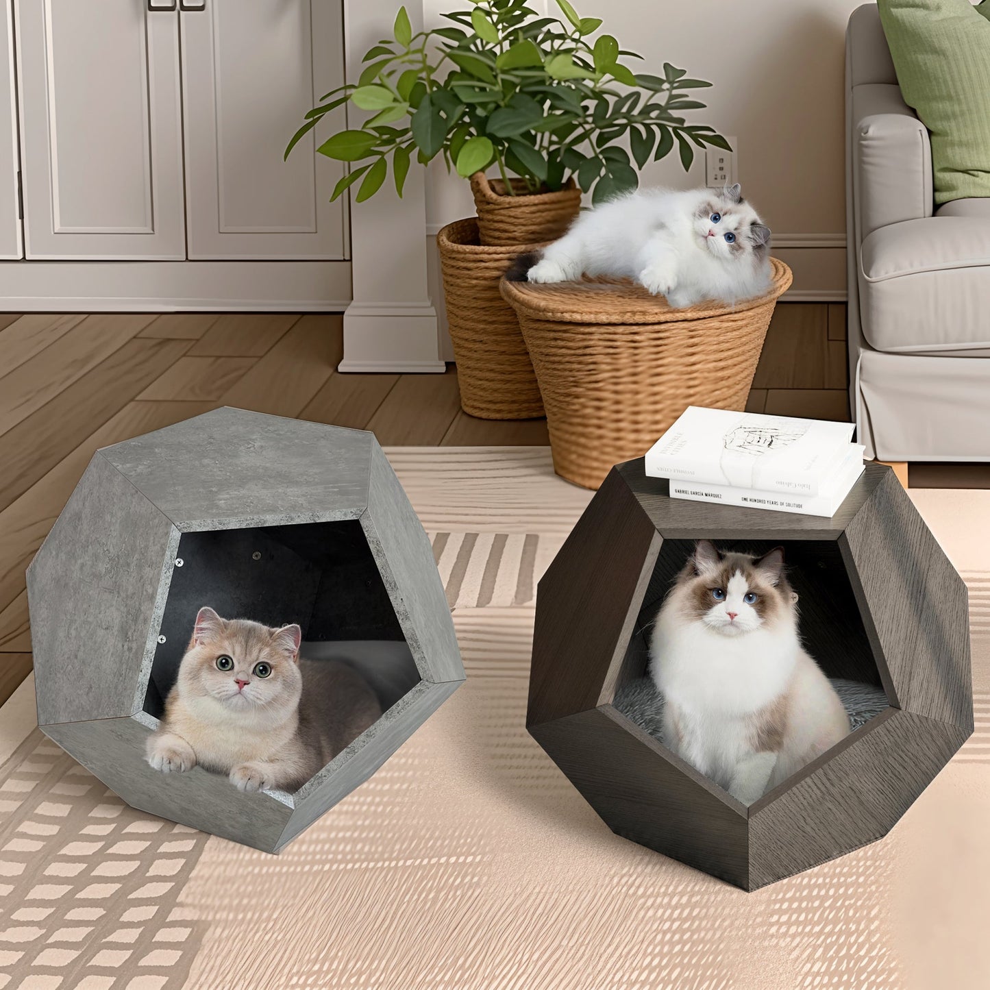 Hexagonal pet beds with cats inside in a living room setting.