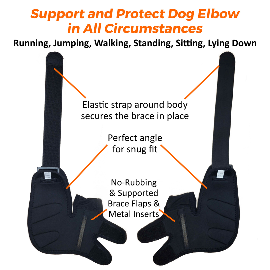 Black dog elbow brace with features highlighted on a white background