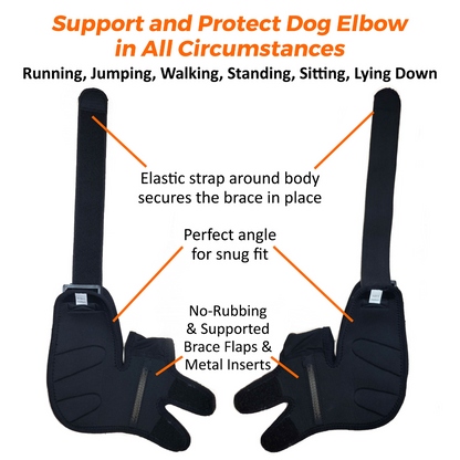 Black dog elbow brace with features highlighted on a white background