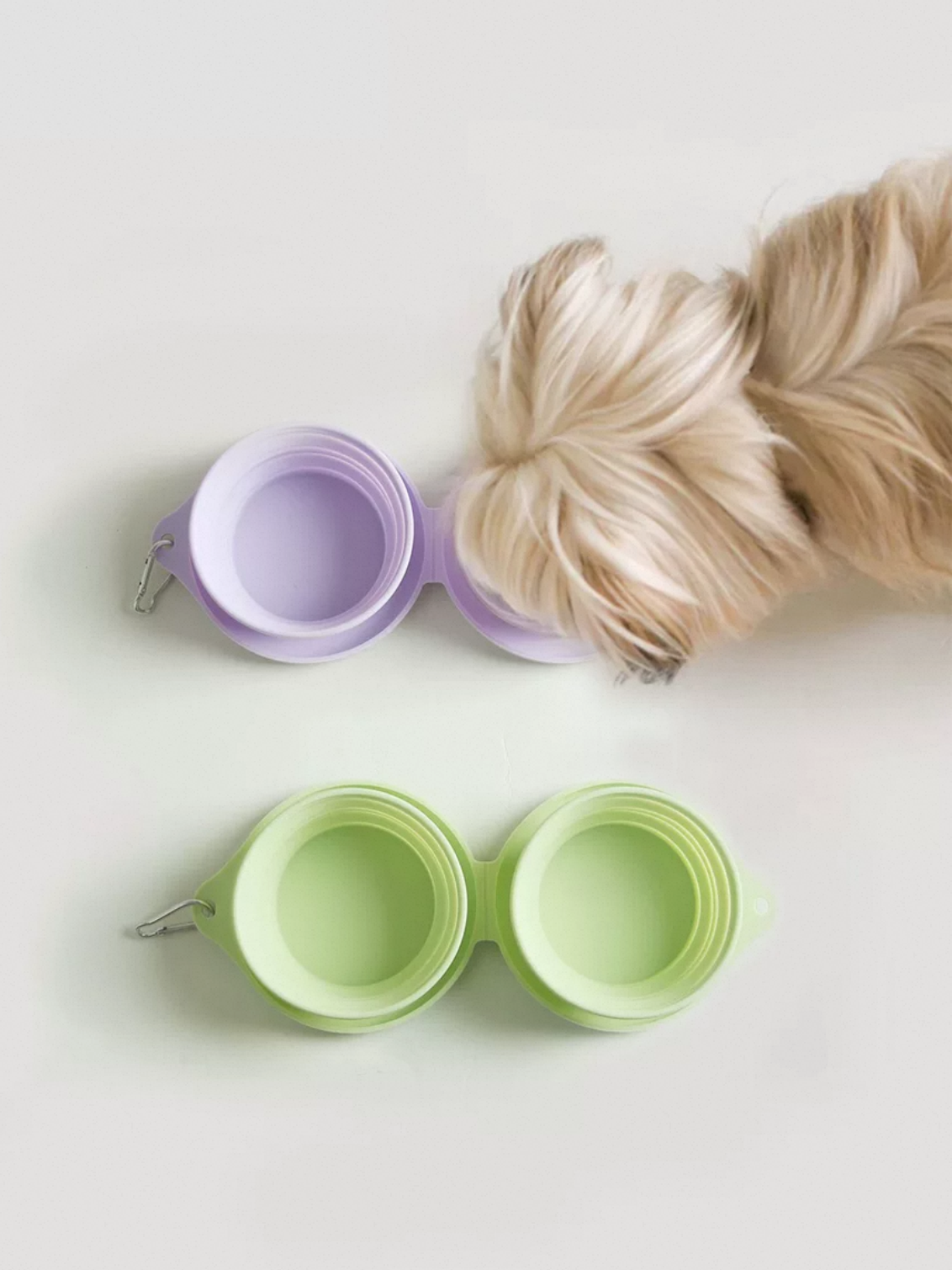 Green and purple pet travel bowls on a light background with a dog's tail.