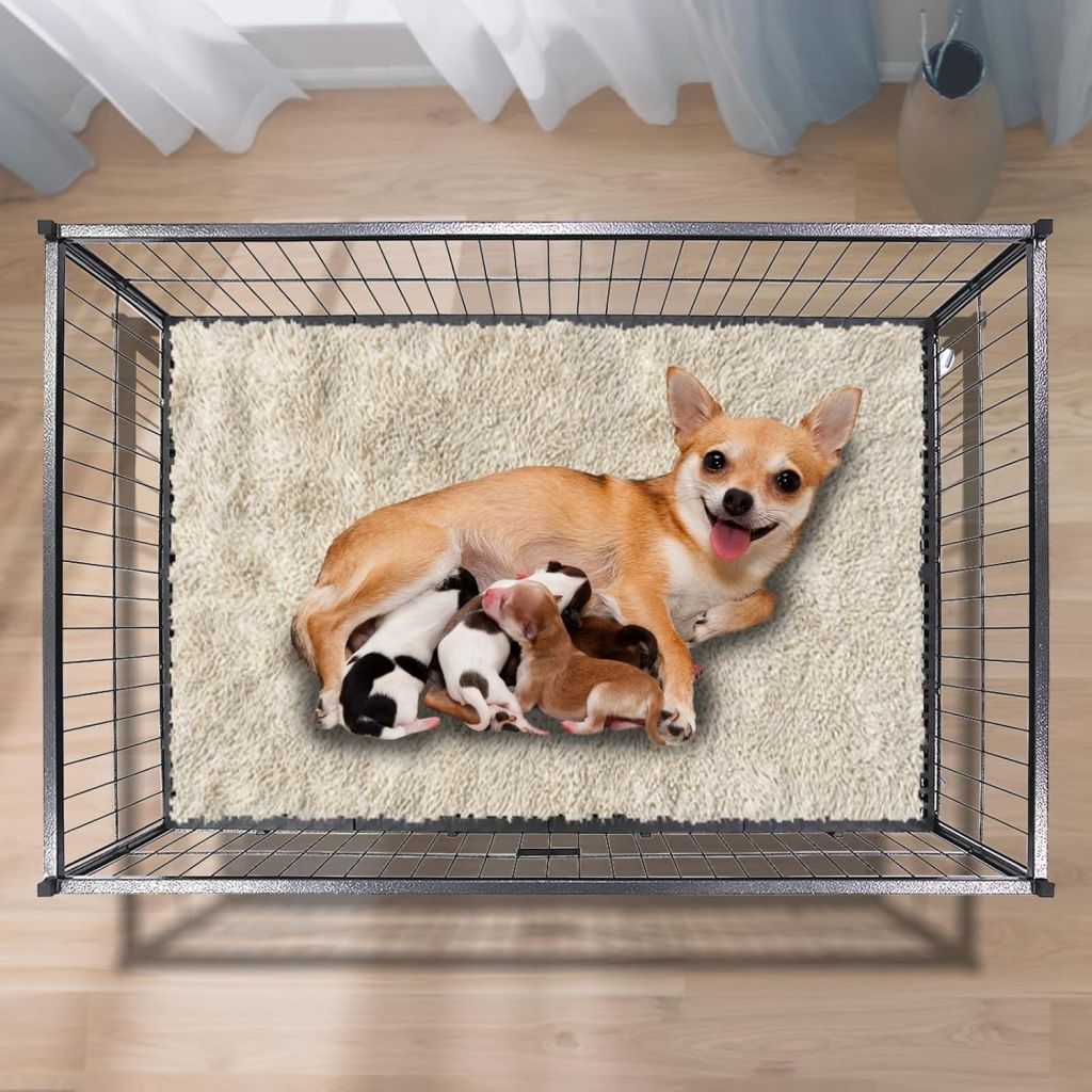 Dog with puppies inside a metal pet crate on a wooden floor.