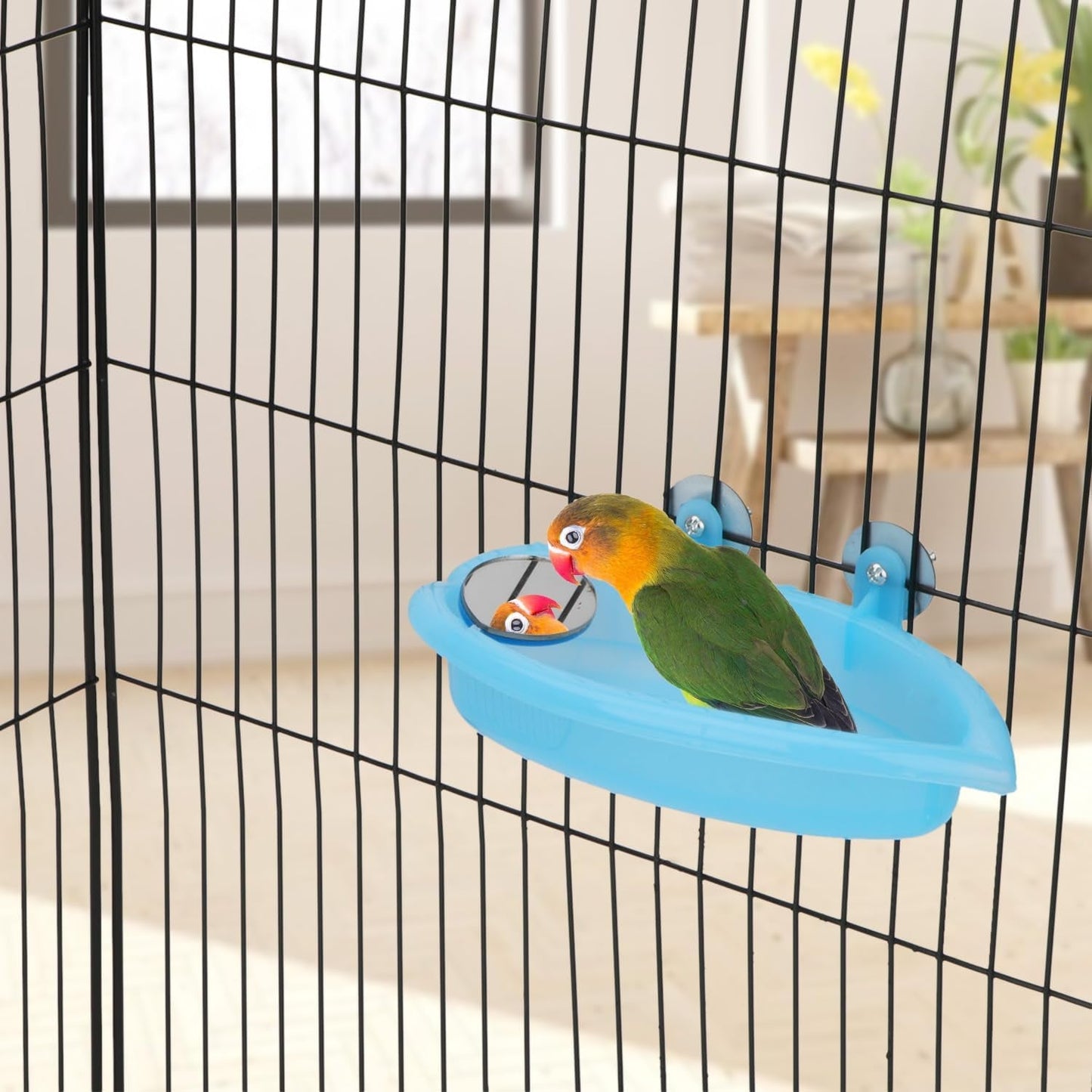 Bird perched on a blue perch inside a birdcage with a blurred indoor background