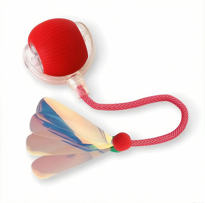 Colorful dog toy with a red ball and handle on a white background