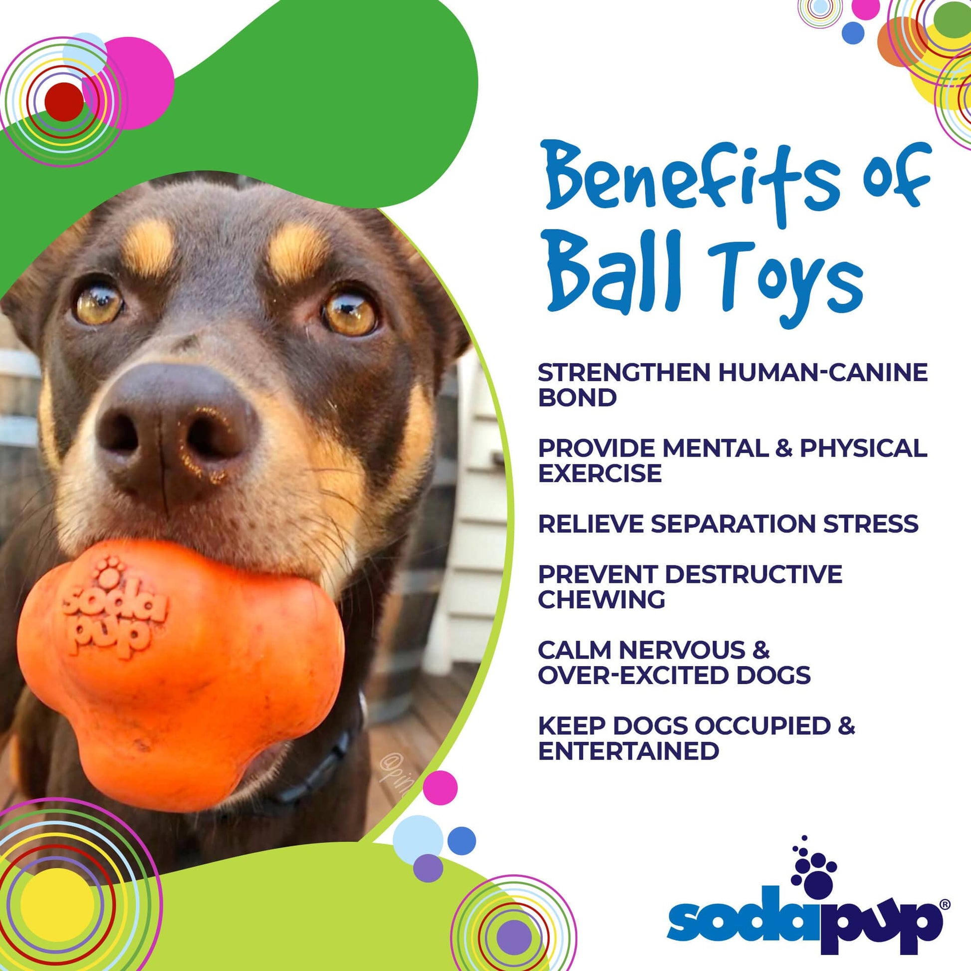 Dog holding an orange ball toy with text about the benefits of ball toys and SodaPup logo.
