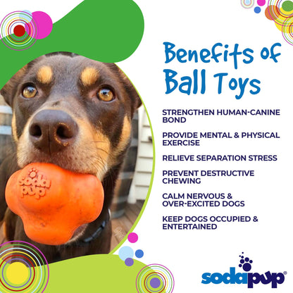 Dog holding an orange ball toy with text about the benefits of ball toys and SodaPup logo.