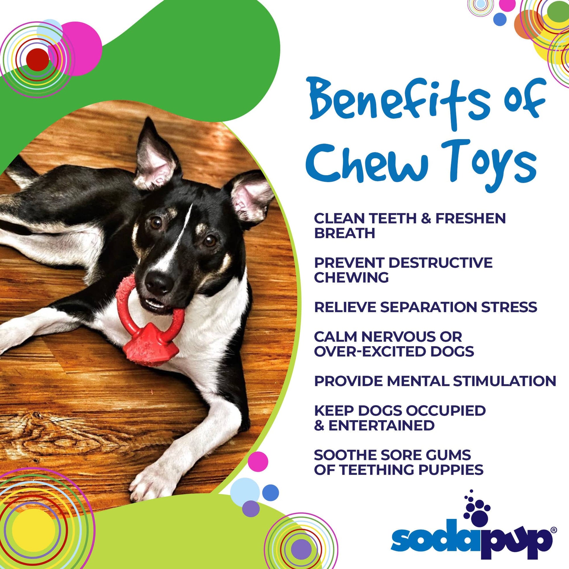 Dog lying on a wooden floor with a chew toy, surrounded by colorful text about chew toys' benefits and SodaPup logo.