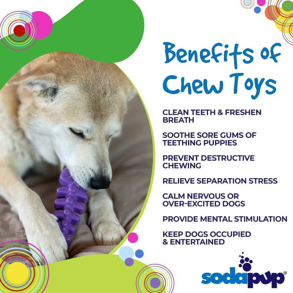Dog chewing on a purple toy with text listing benefits of chew toys and SodaPup logo.