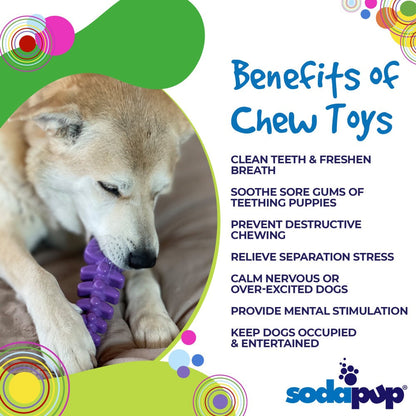 Dog chewing on a purple toy with text listing benefits of chew toys and SodaPup logo.