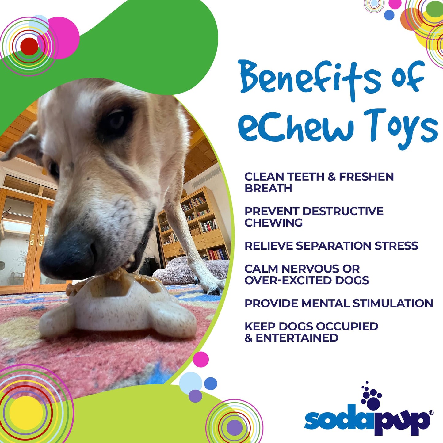 Turtle Nylon Chew Toy - Ultra-Durable Enrichment Toy for Power Chewers USA