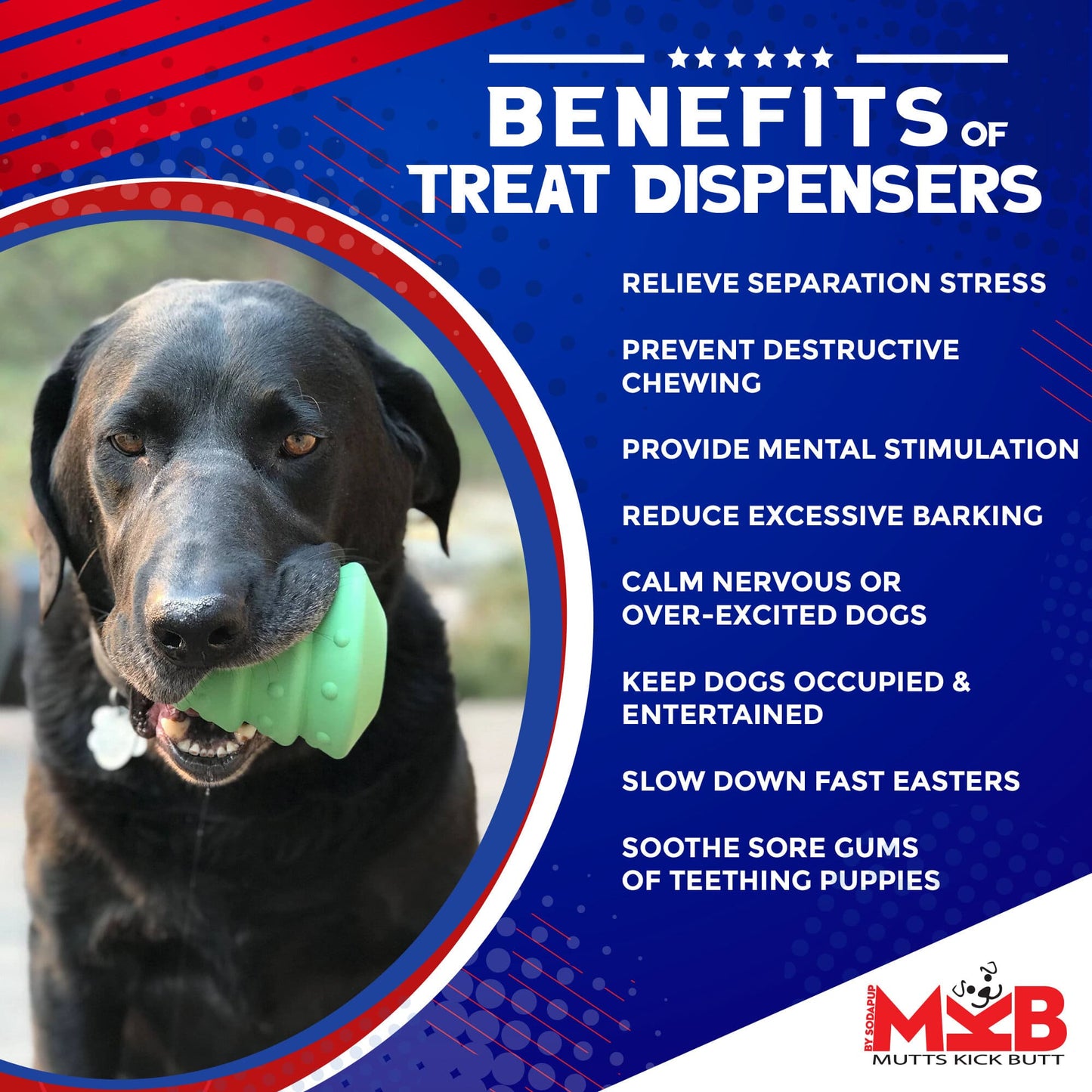 Dog holding a green toy with text about the benefits of treat dispensers on a blue and red background.