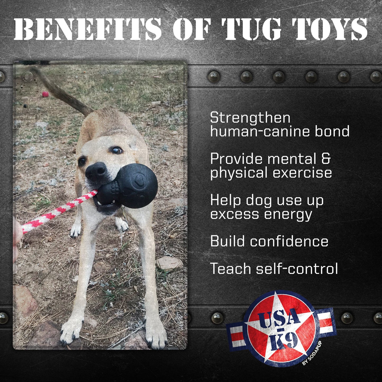Dog playing with a tug toy, with text listing benefits of tug toys on a black background.