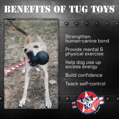 Dog playing with a tug toy, with text listing benefits of tug toys on a black background.