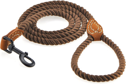 Brown dog leash with leather handle and clip on a white background