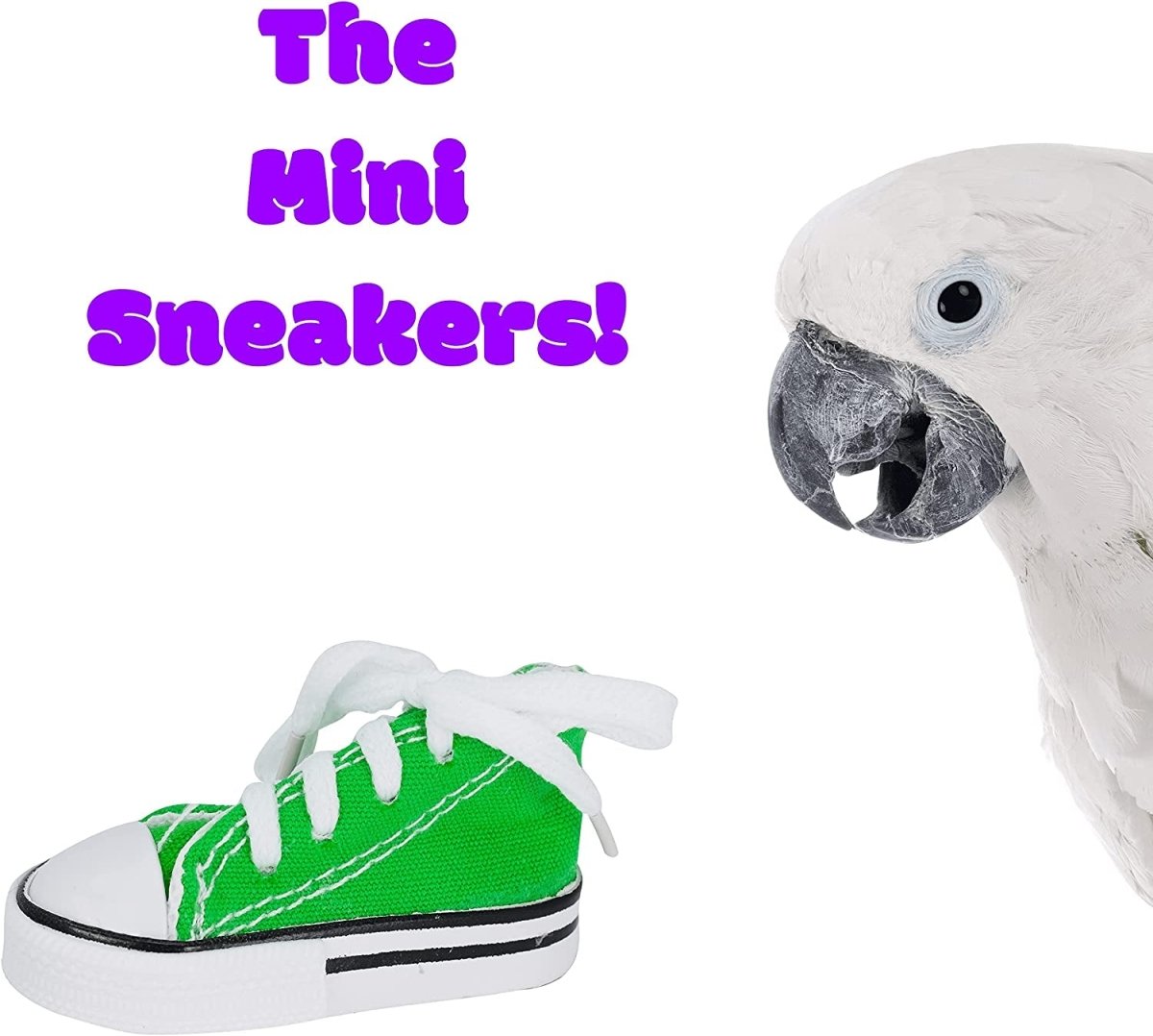 Green and white sneaker with a parrot next to it on a white background
