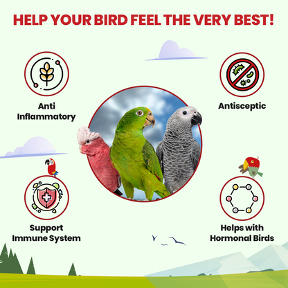 Promotional graphic for bird health products with parrots and icons indicating benefits.