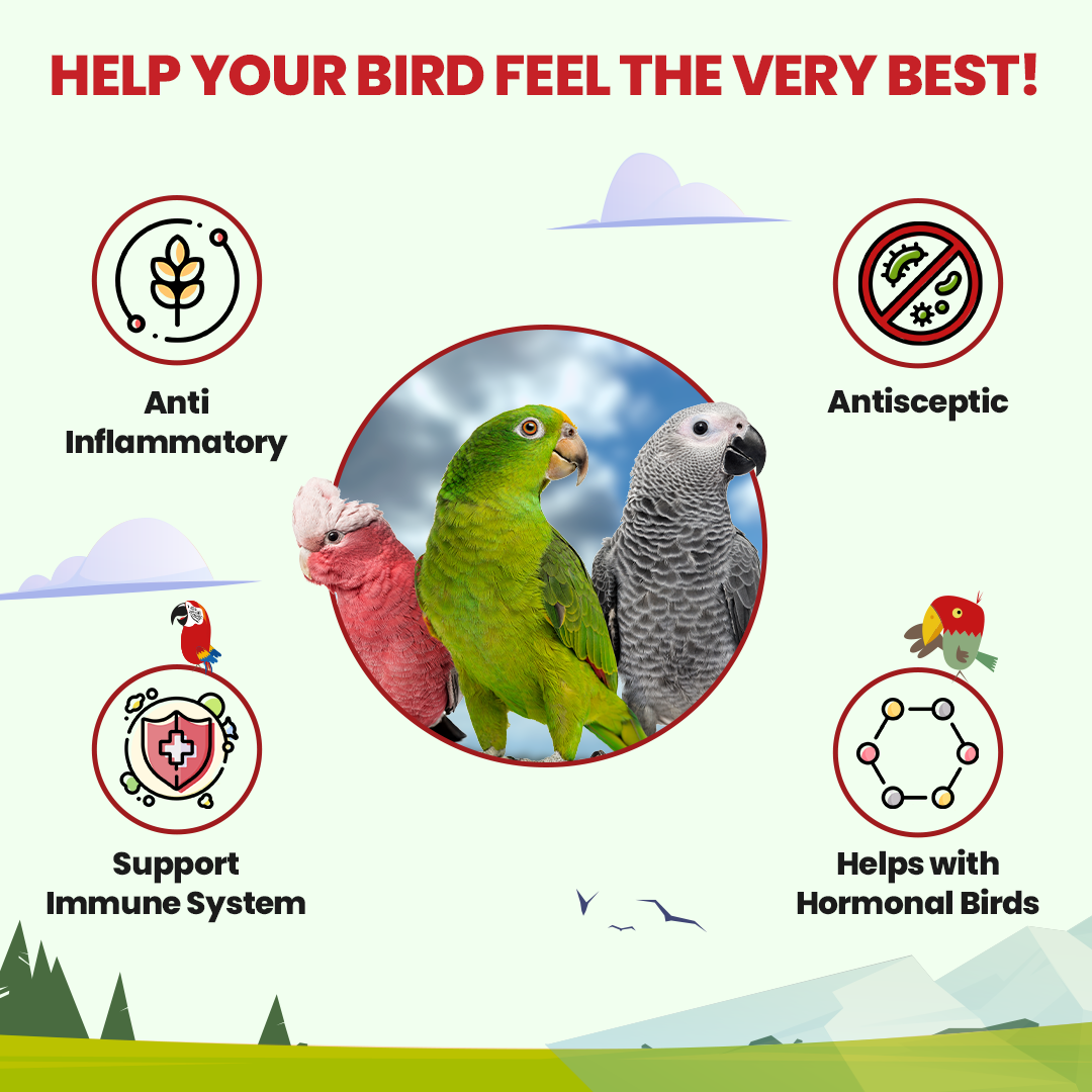 Promotional graphic for bird health products with parrots and icons indicating benefits.