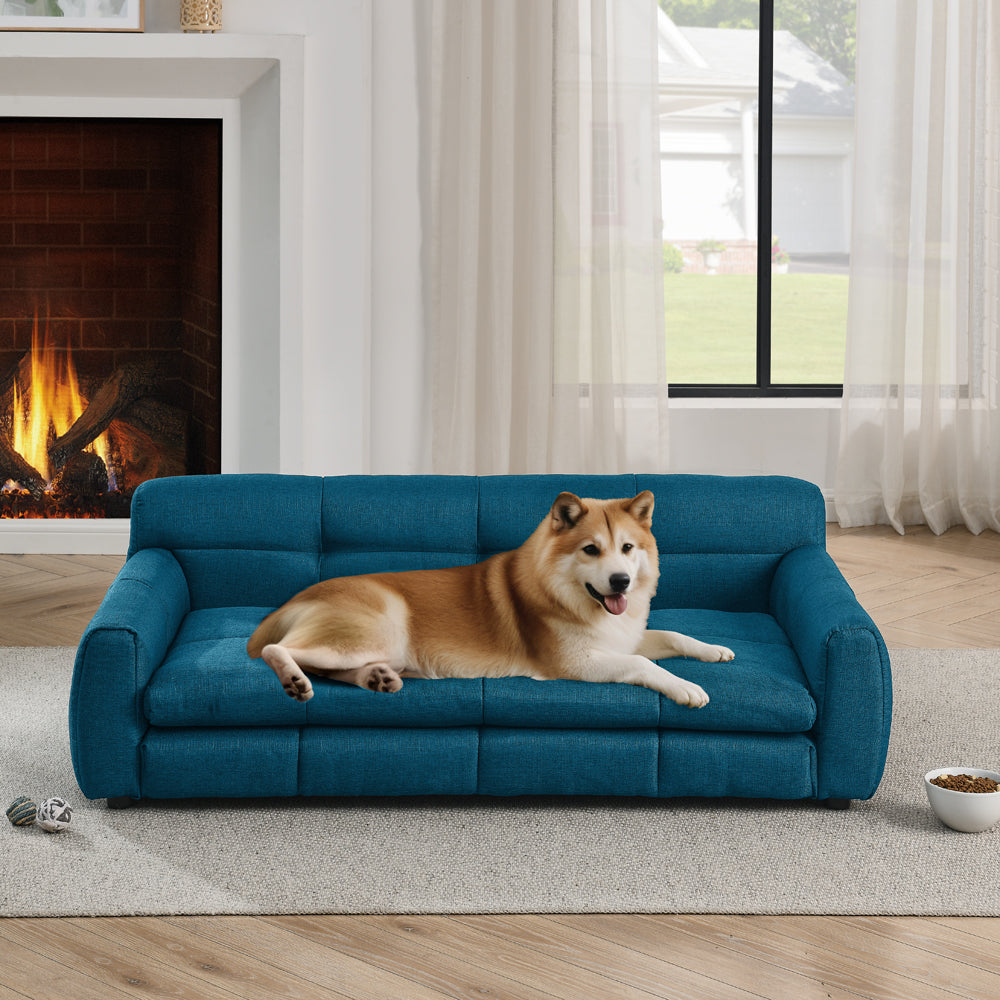 Dog lying on a blue sofa in a living room with a fireplace and large window.