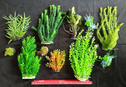 Assorted artificial plants on a black background with a ruler at the bottom.