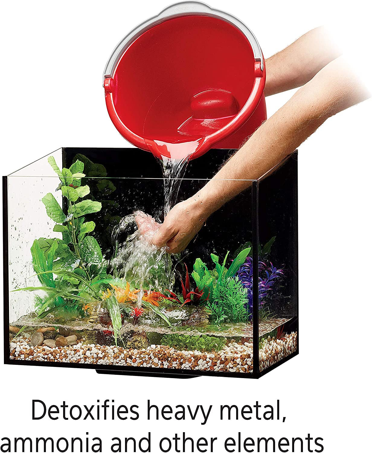 Person pouring water from a red container into an aquarium with plants and fish, text indicating detoxification benefits.