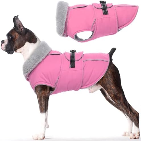 B0D1BGBQBX-019ba6af-14b4-4197-8e8e-16bde9be0202
