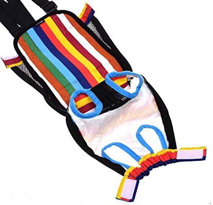 Colorful dog harness with rainbow stripes and blue goggles on a white background