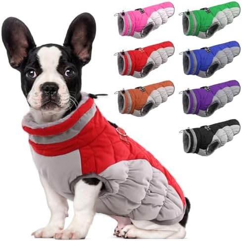 B09F653MJC-019ba6af-14b4-4197-8e8e-16bde9be0202