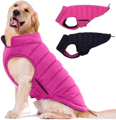 B0DKNFDXZQ-019ba6af-14b4-4197-8e8e-16bde9be0202