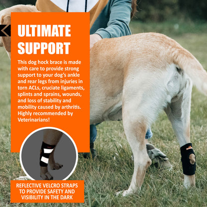 Dog wearing a brace with text about the product's benefits and features.