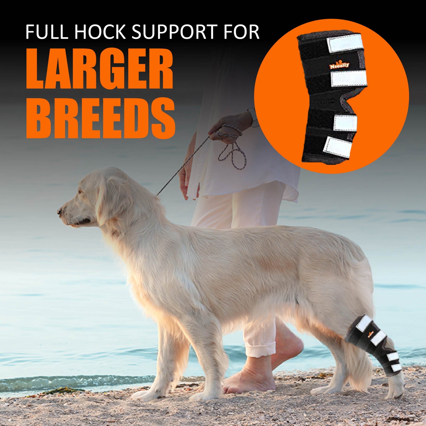Dog with a full hock support on a beach, with text 'Full Hock Support for Larger Breeds' and an inset image of the support.