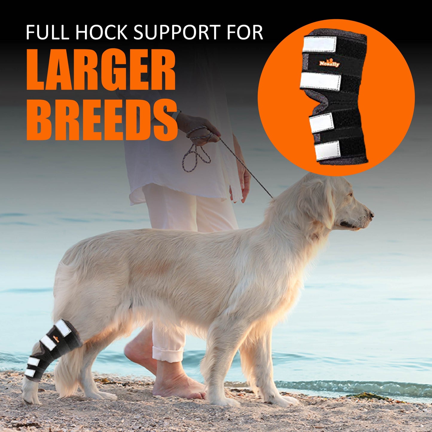 Dog wearing a full hock support brace with text 'Full Hock Support for Larger Breeds' on a beach background.