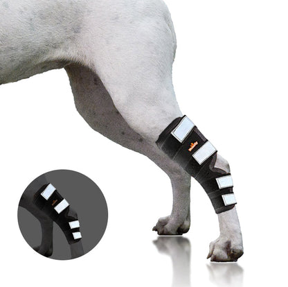 Dog leg with a black and white bandage on a white background