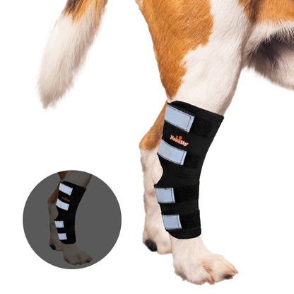 Dog leg with a black brace on a white background