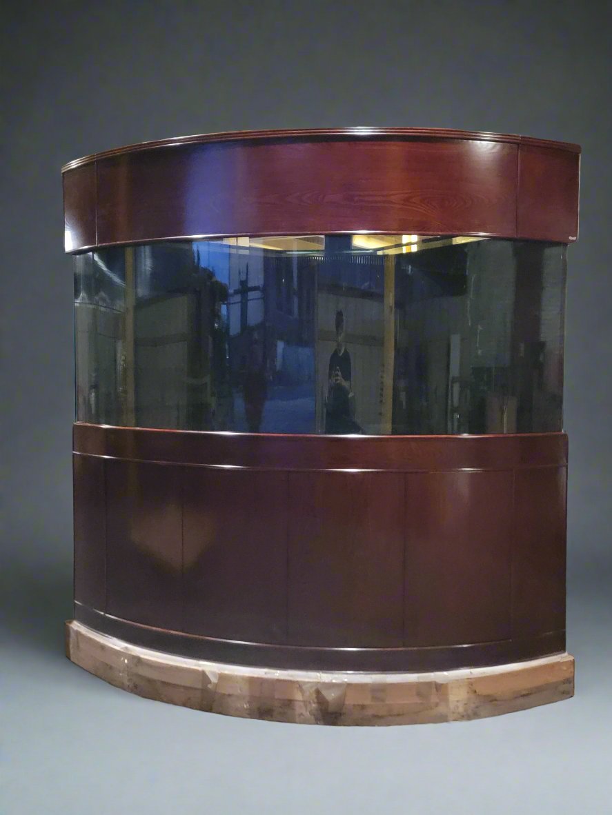 Curved glass display case with wooden frame on a gray background
