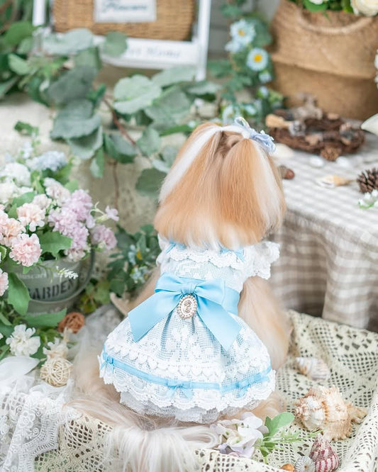 Small dog in a decorative outfit with flowers and plants in the background