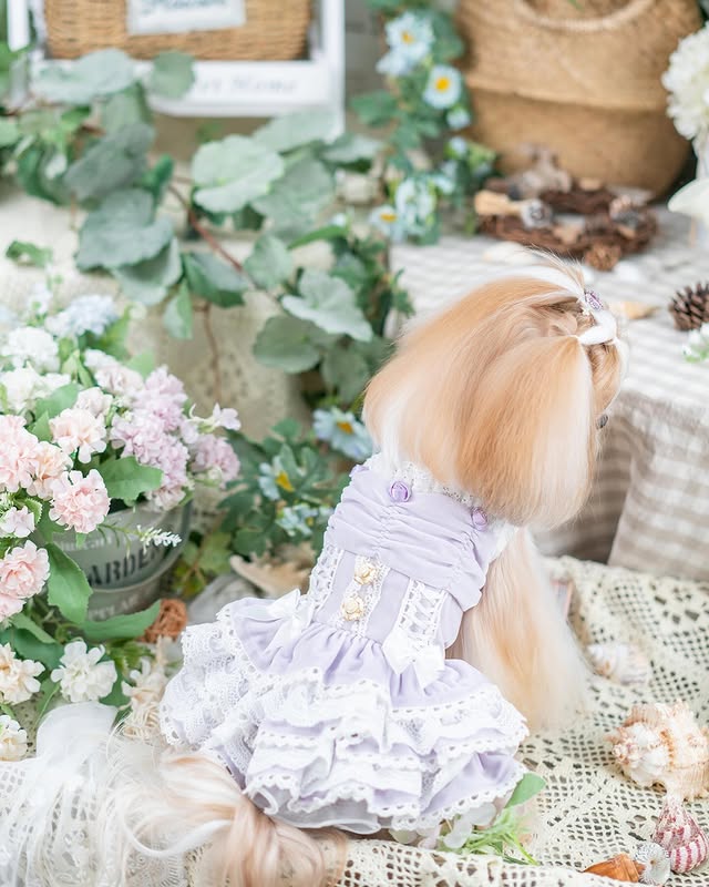 Dog in a lavender dress sitting among flowers and plants