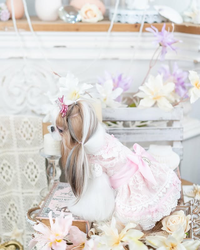 Person in a white dress with floral headband and accessories, surrounded by flowers.