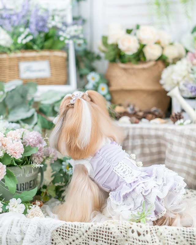 Doll with blonde hair and a white outfit surrounded by flowers and plants