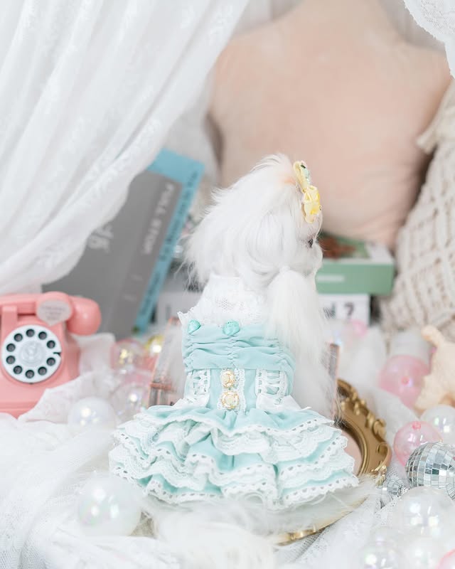 Small white bird in a decorative blue outfit on a fluffy white surface with colorful background