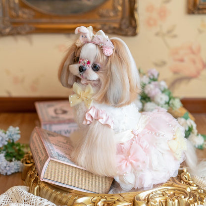 Small dog with decorative bows and a fluffy outfit on a decorative table