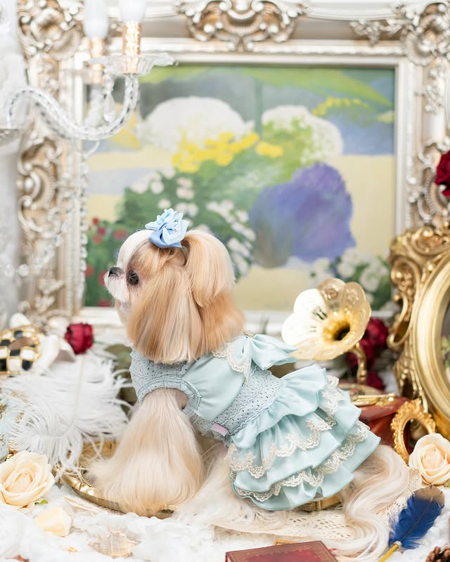 Luxury design high quality dog dress lace big bow