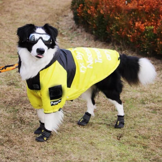 Dog wearing a yellow raincoat with goggles outdoors