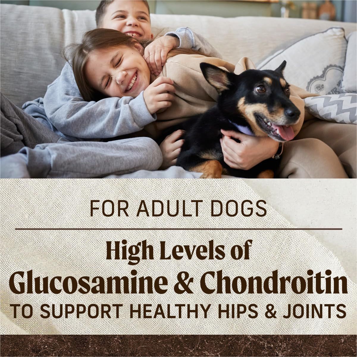 Two children lying on a couch with a dog, text about glucosamine and chondroitin for adult dogs.