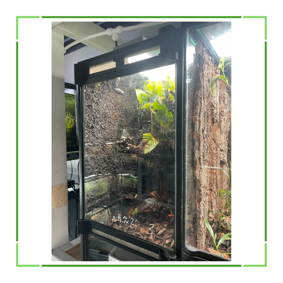Glass door with a view of a garden and trees