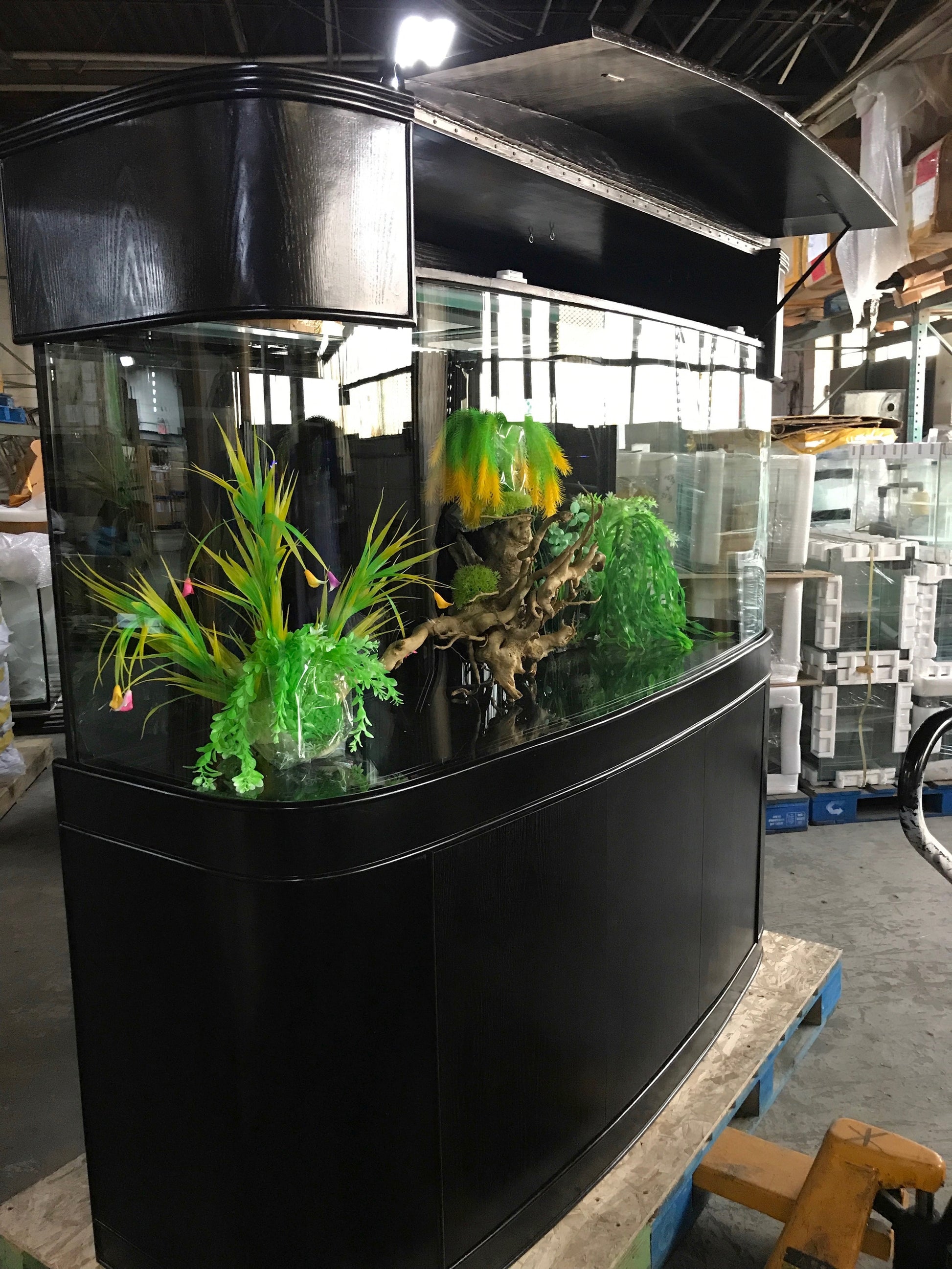 WARRANTY INCLUDED! 215 gallon GLASS bow front aquarium fish tank