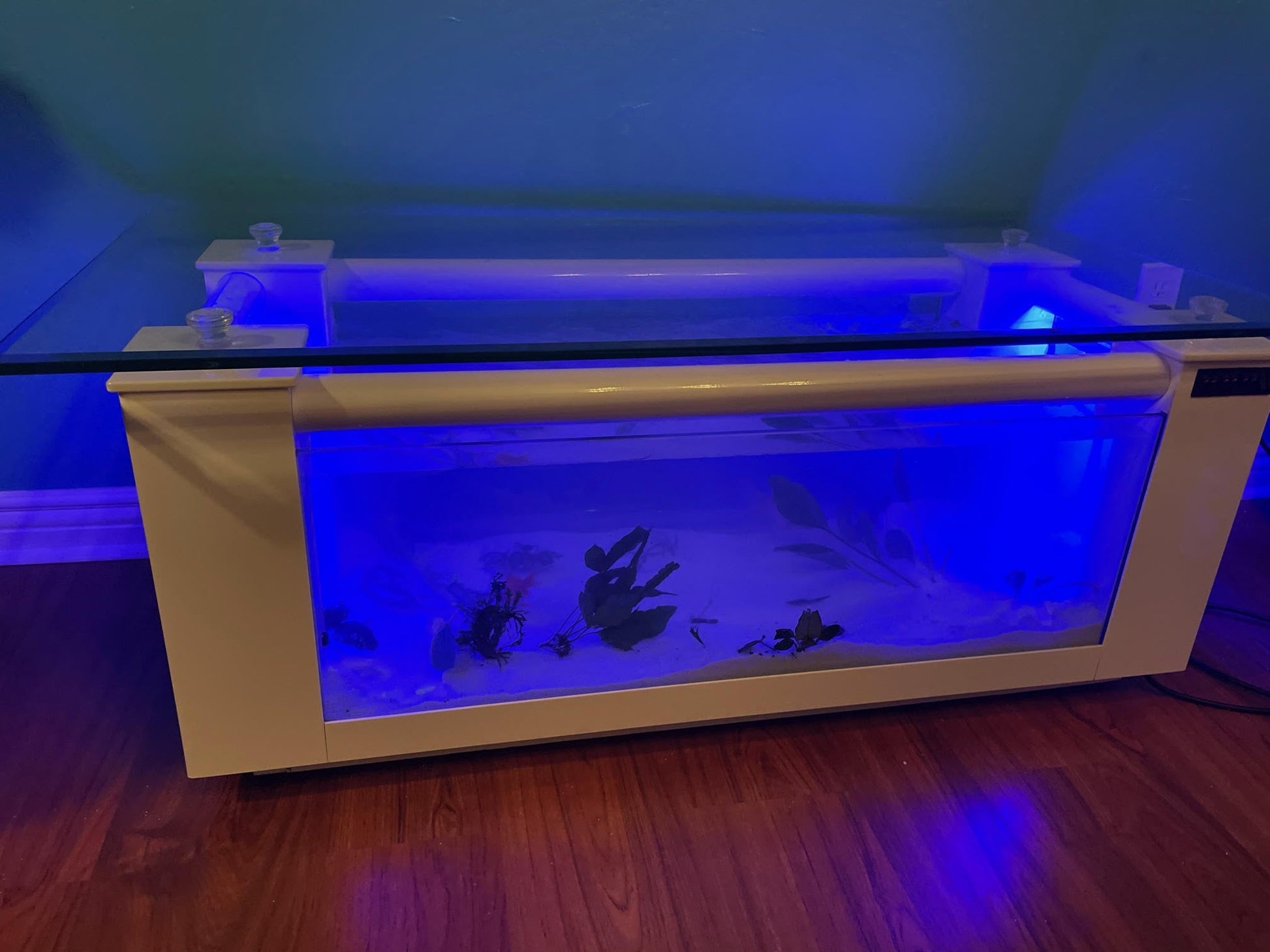 WARRANTY INCLUDED! 45 gallon GLASS rectangle table aquarium fish tank