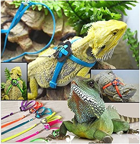 Collage of lizards wearing harnesses with various colors on a natural background.