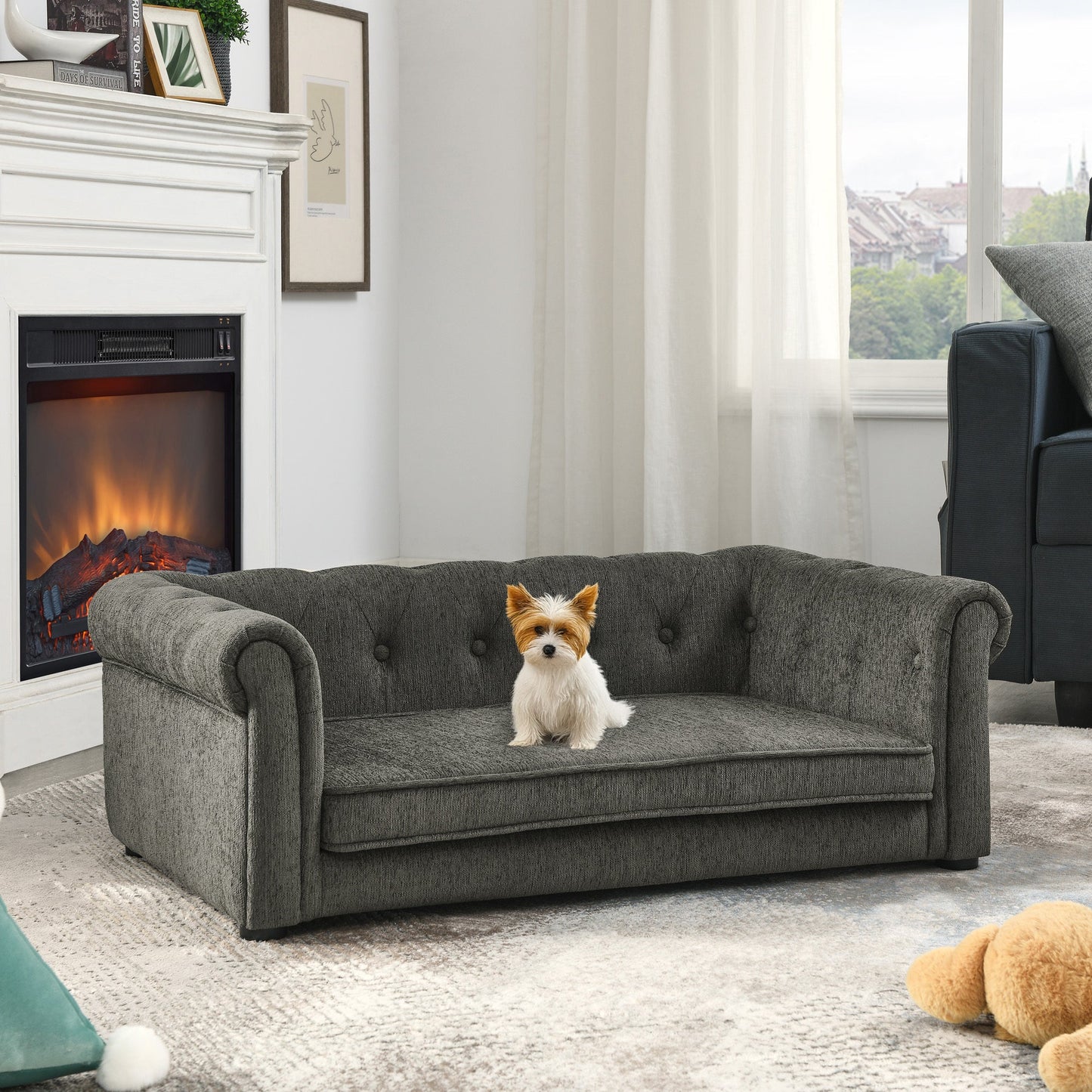 Dog sitting on a gray sofa in a living room with a fireplace and window.