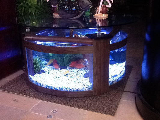 WARRANTY INCLUDED! 55 gallon GLASS round circle table aquarium fish tank 